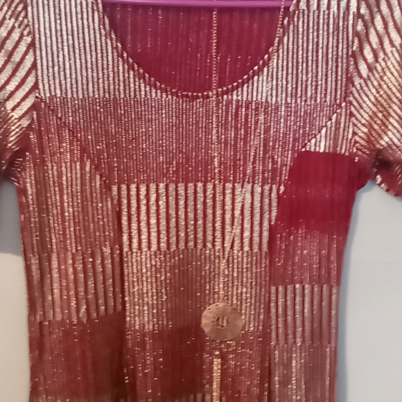 Espresso Maroon and Gold Dress - Picture 2 of 4